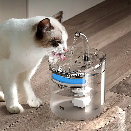 Drinking Bowl Auto Drinking Filter for Pets